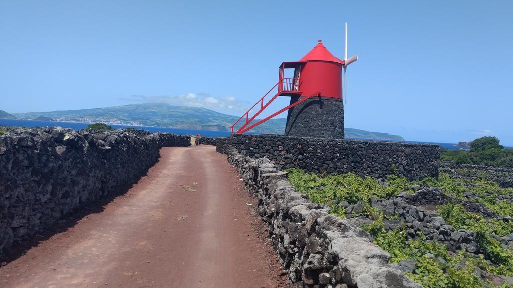 Casas Do Verdelho 马达莱纳 外观 照片